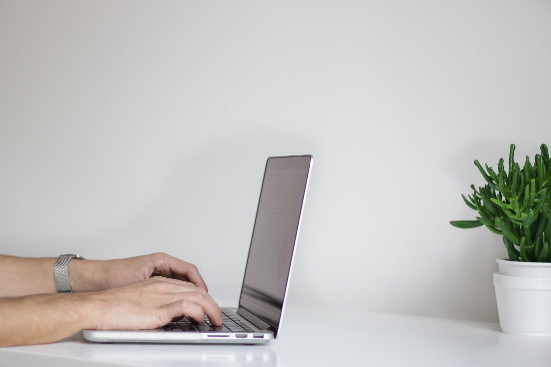 WordPress Software – Vor- und Nachteile für deine Nischenseite