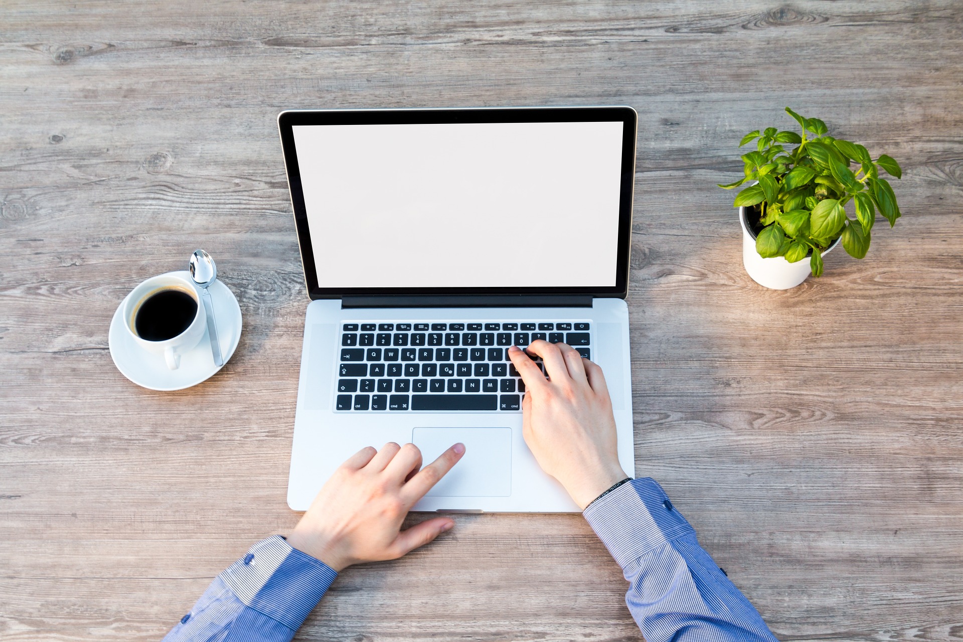 Lange oder kurze Artikel? Was ist besser für das Content Marketing?